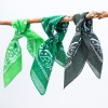 Bandana Art Of Polo 13014 Classic Rebel #30