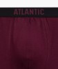 Boxerky Atlantic 3MH-011/24 A'3 S-2XL #7