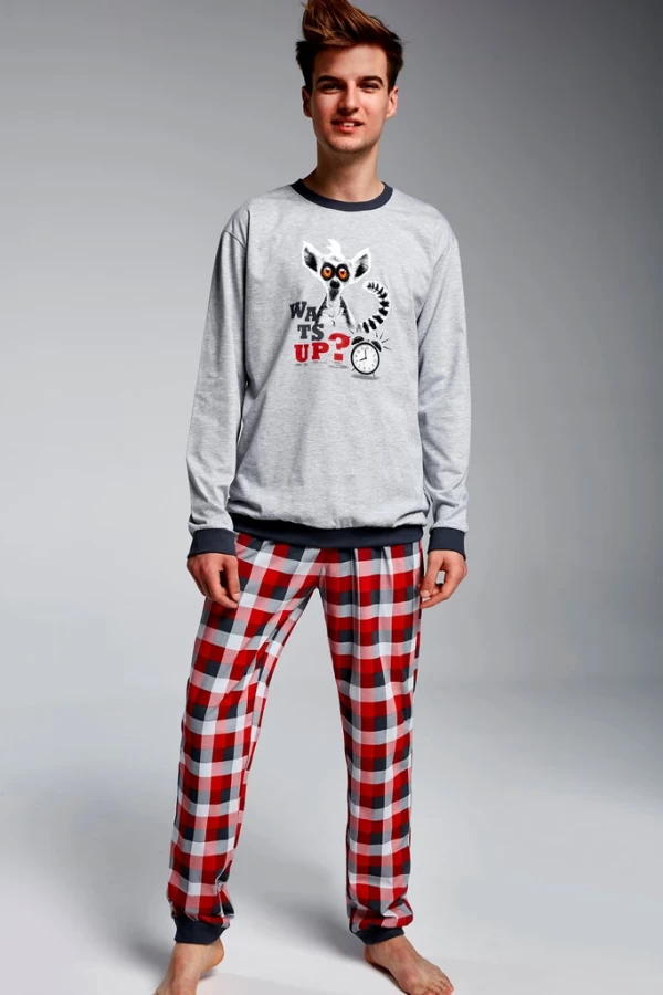 Pyžamo Cornette chlapecké 967/29 Lemur F+Y